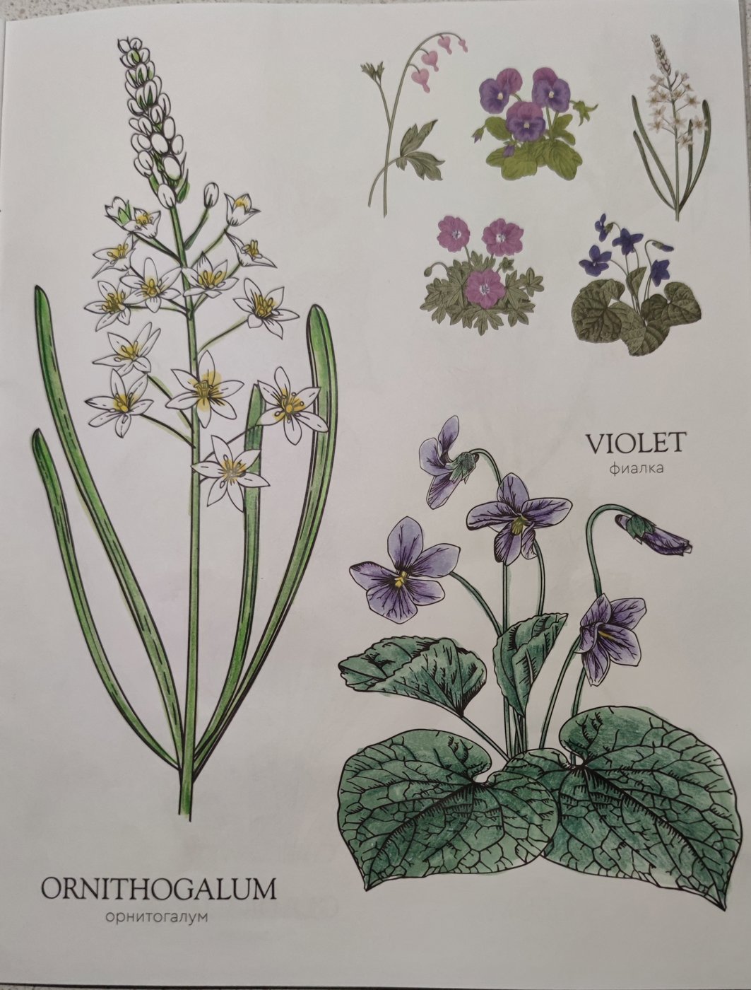 Работа от StarMaiden