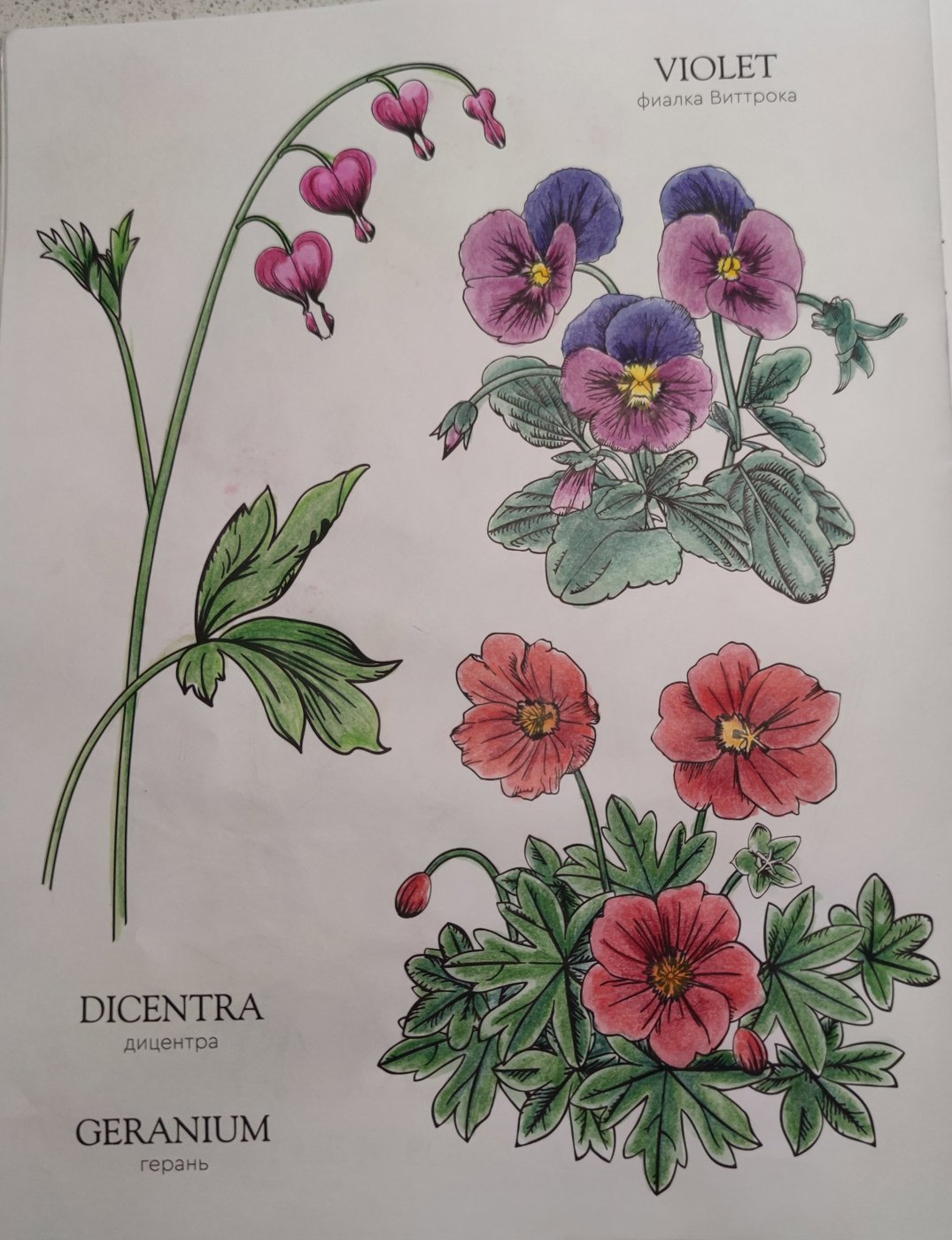 Работа от StarMaiden