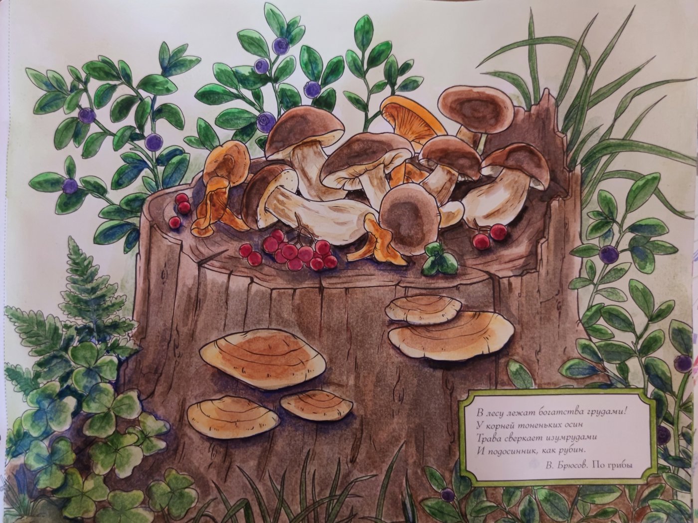 Работа от StarMaiden