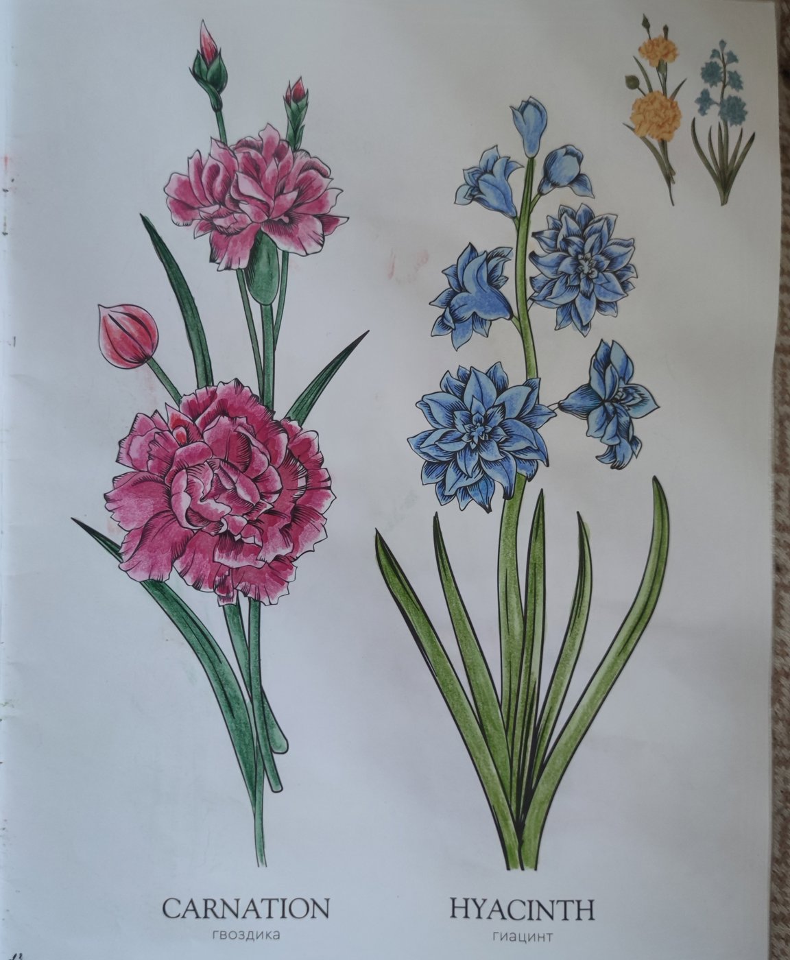 Работа от StarMaiden