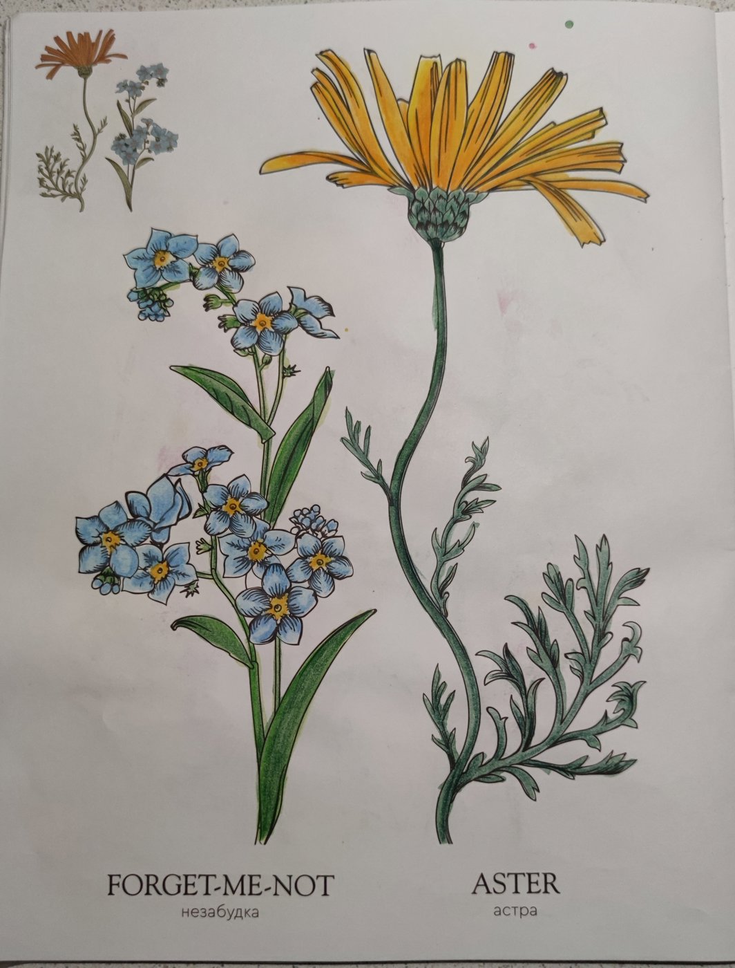 Работа от StarMaiden