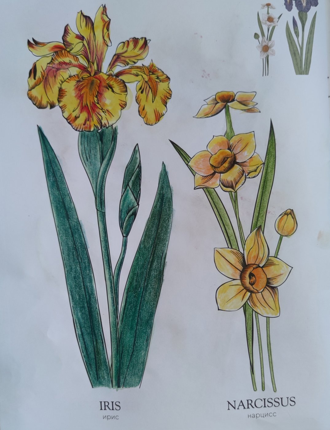 Работа от StarMaiden