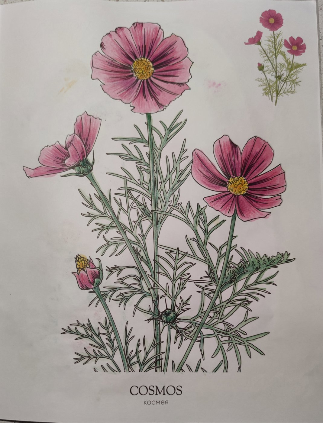 Работа от StarMaiden