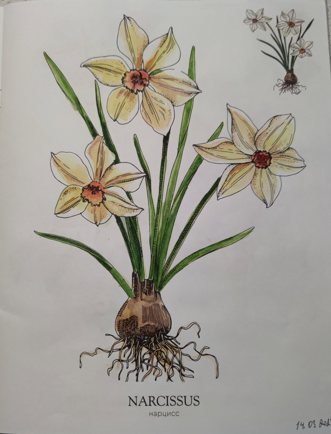 Работа от StarMaiden