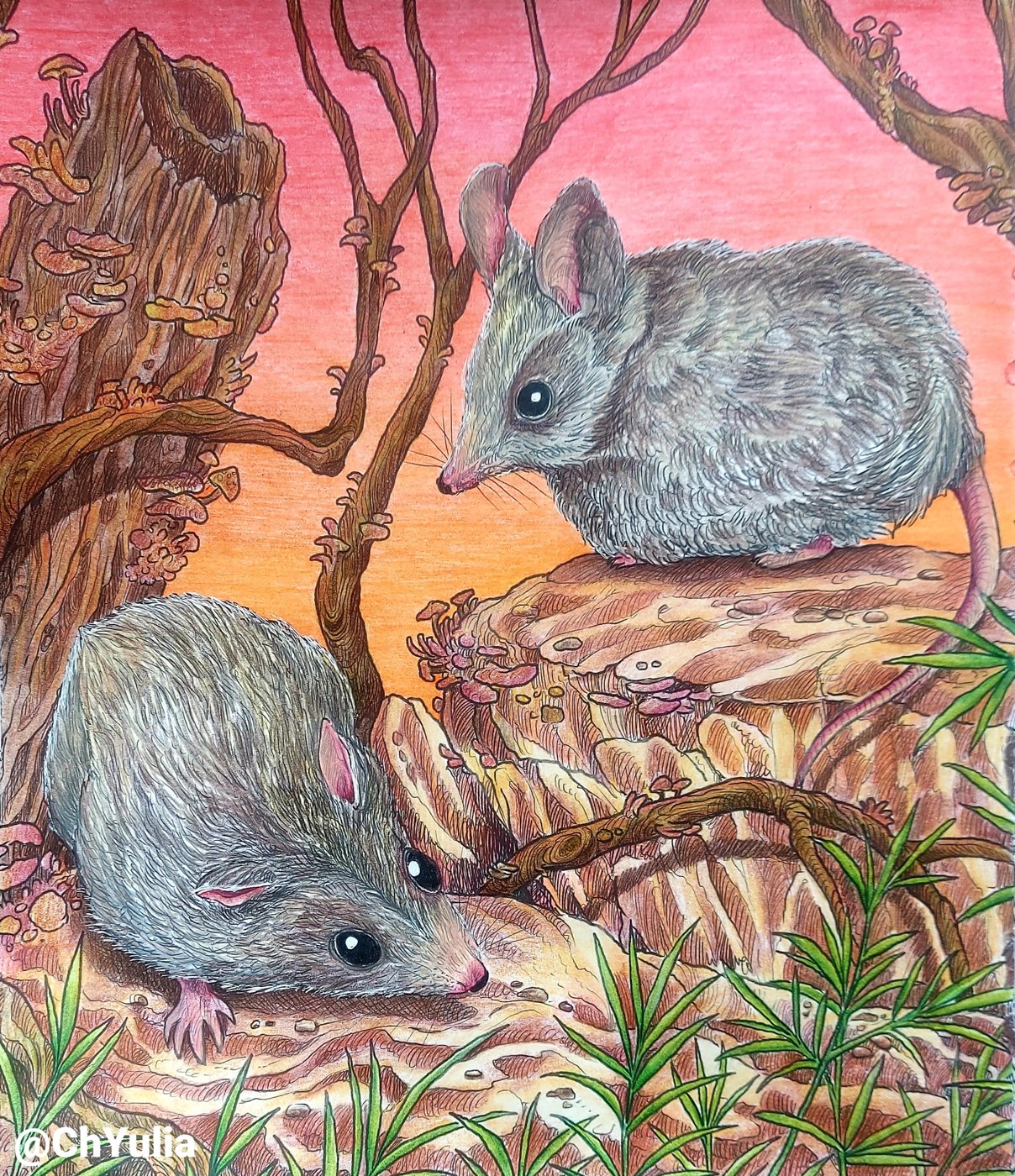 Работа от ChYulia