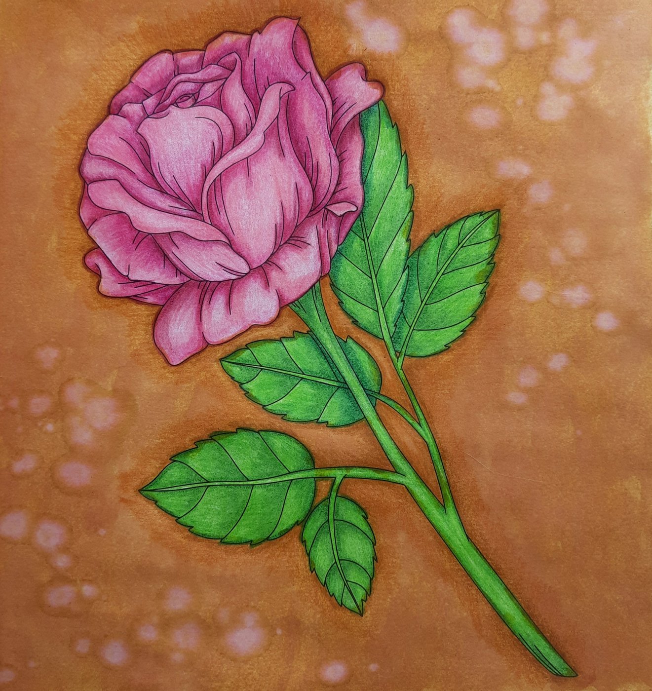 Роза от Galina