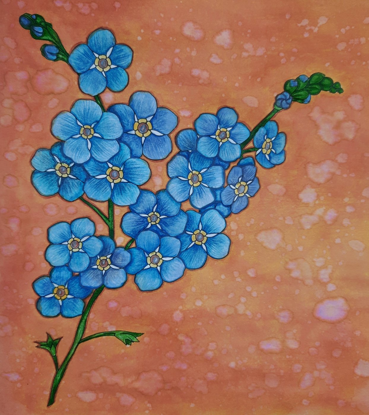 Незабудка от Galina