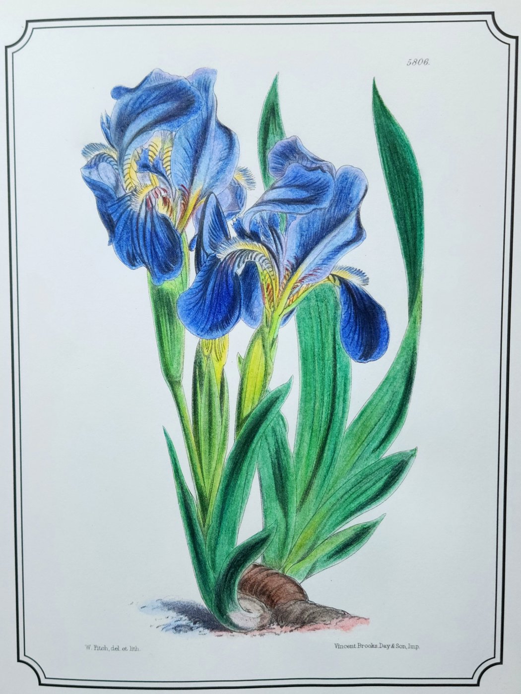 Работа от Anna Ganzevich