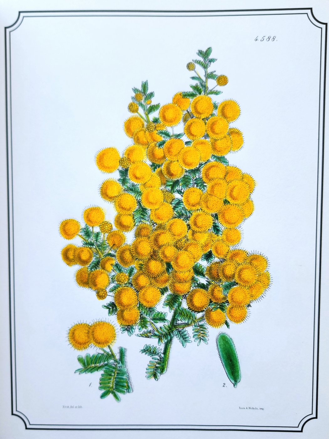 Работа от Anna Ganzevich