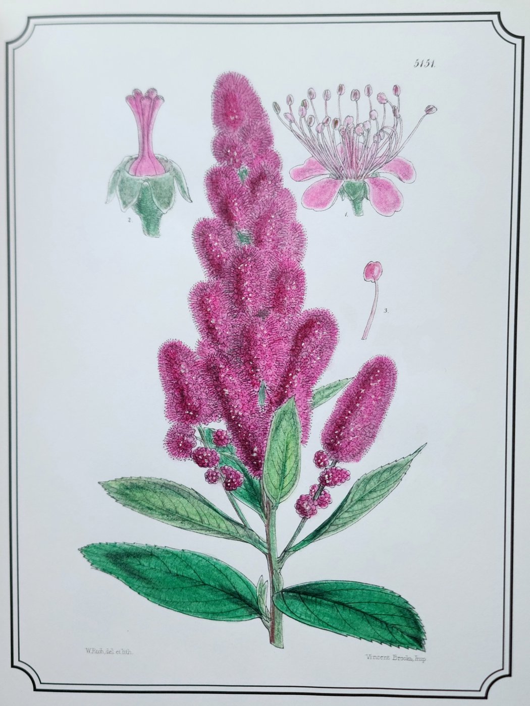 Работа от Anna Ganzevich