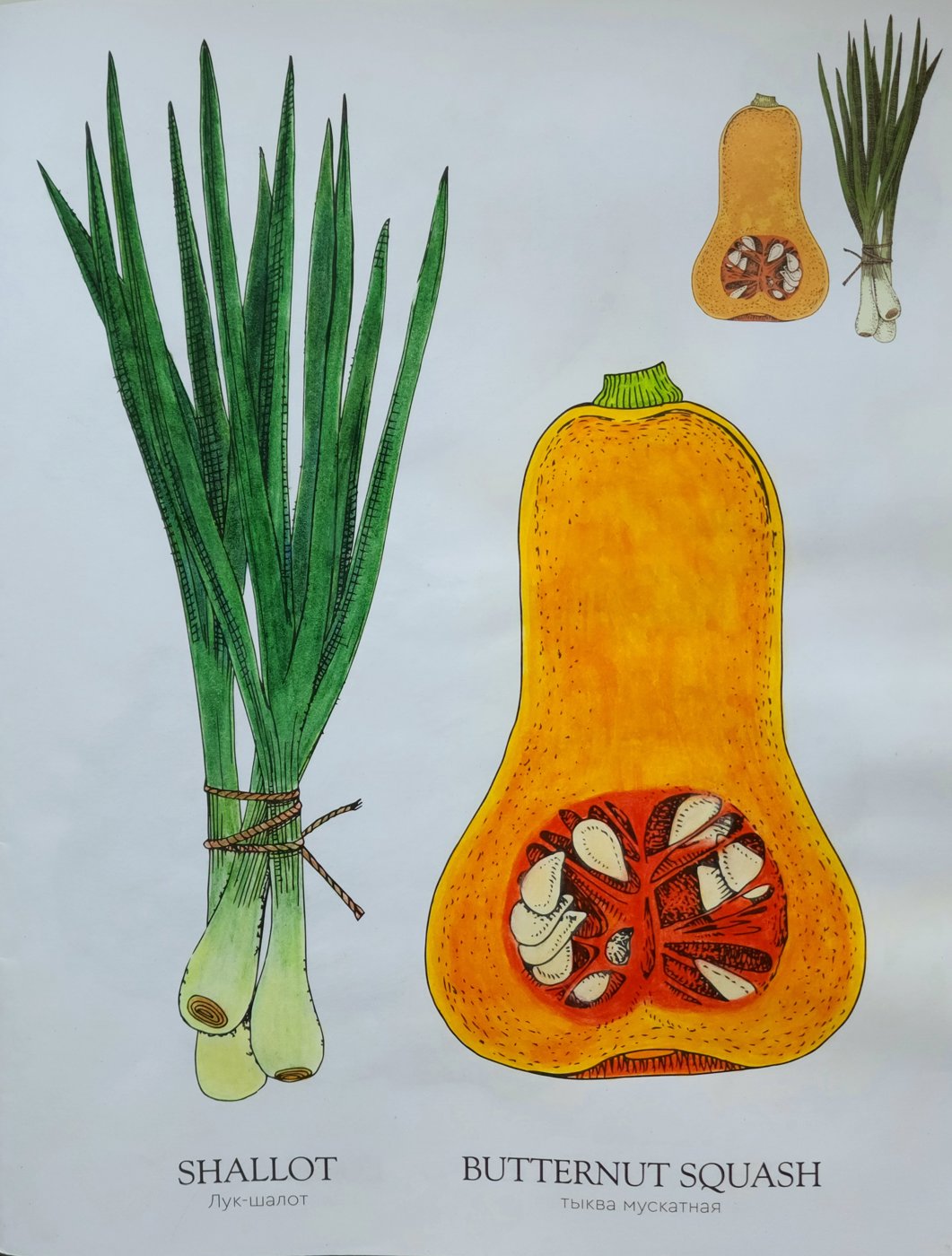 Работа от Anna Ganzevich