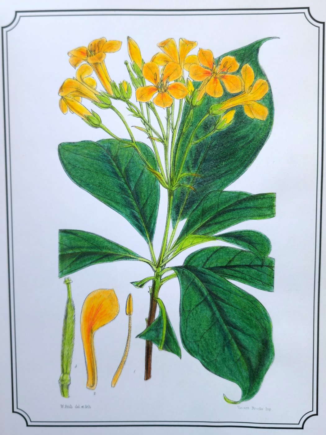 Работа от Anna Ganzevich