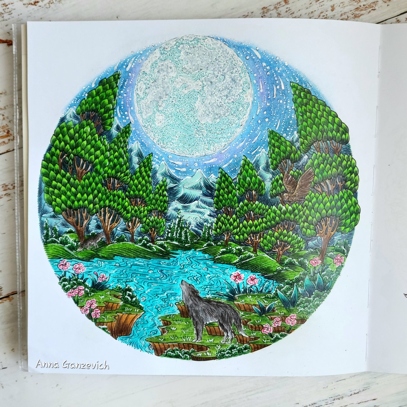 Работа от Anna Ganzevich (2/3)