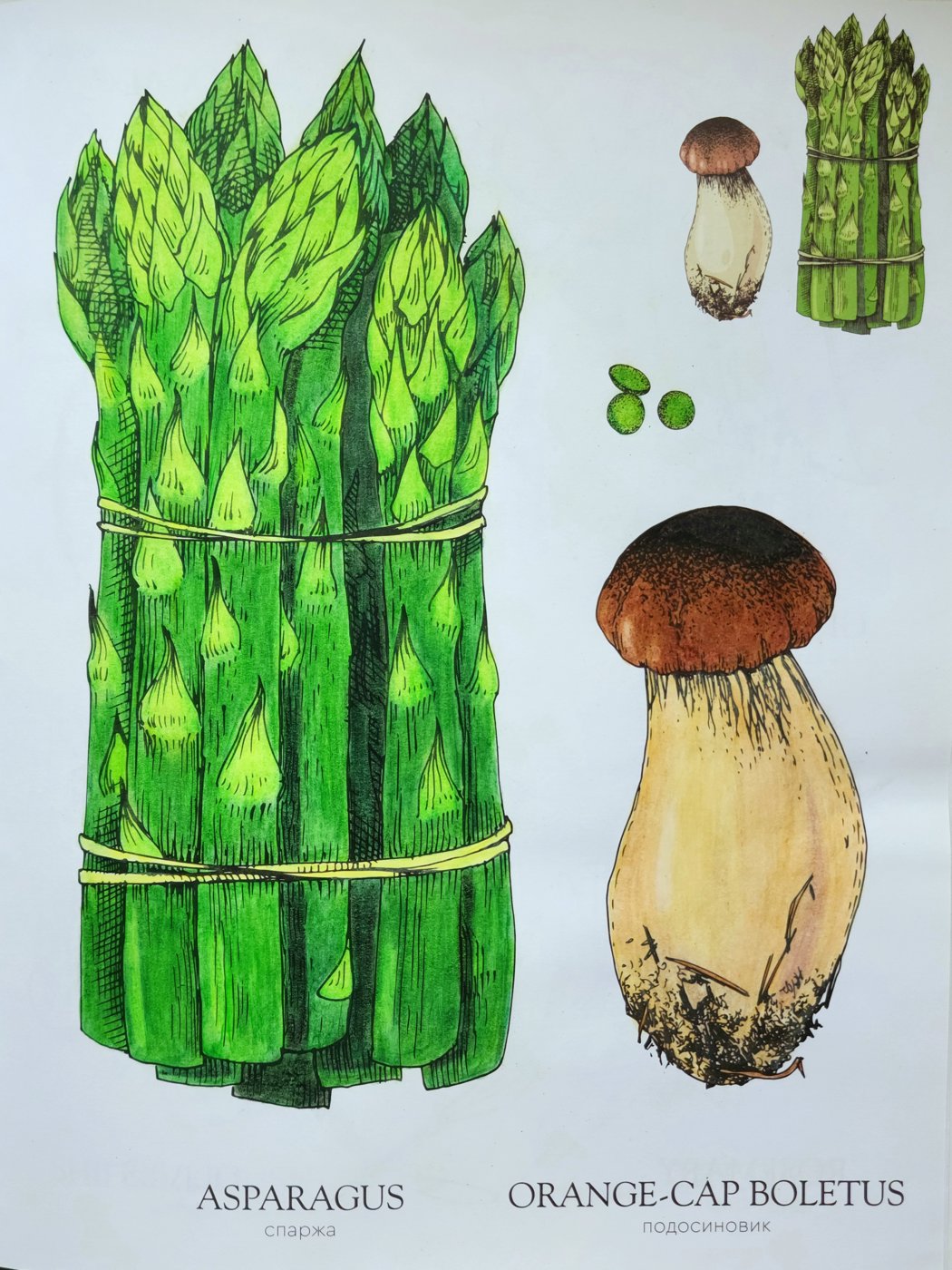 Работа от Anna Ganzevich