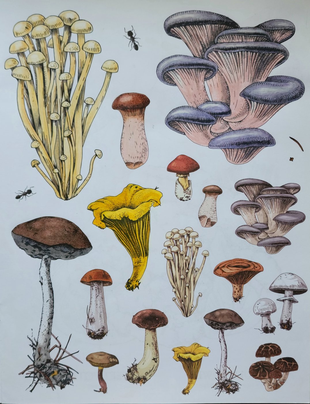 Работа от Anna Ganzevich