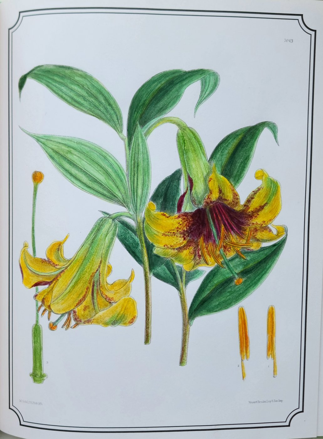 Работа от Anna Ganzevich