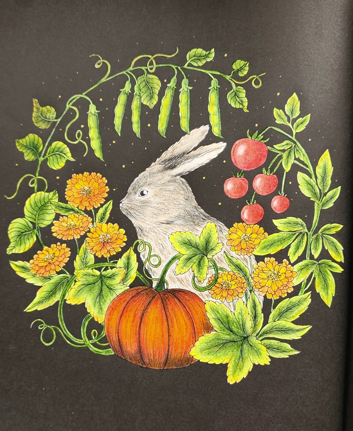 Работа от Anna Ganzevich