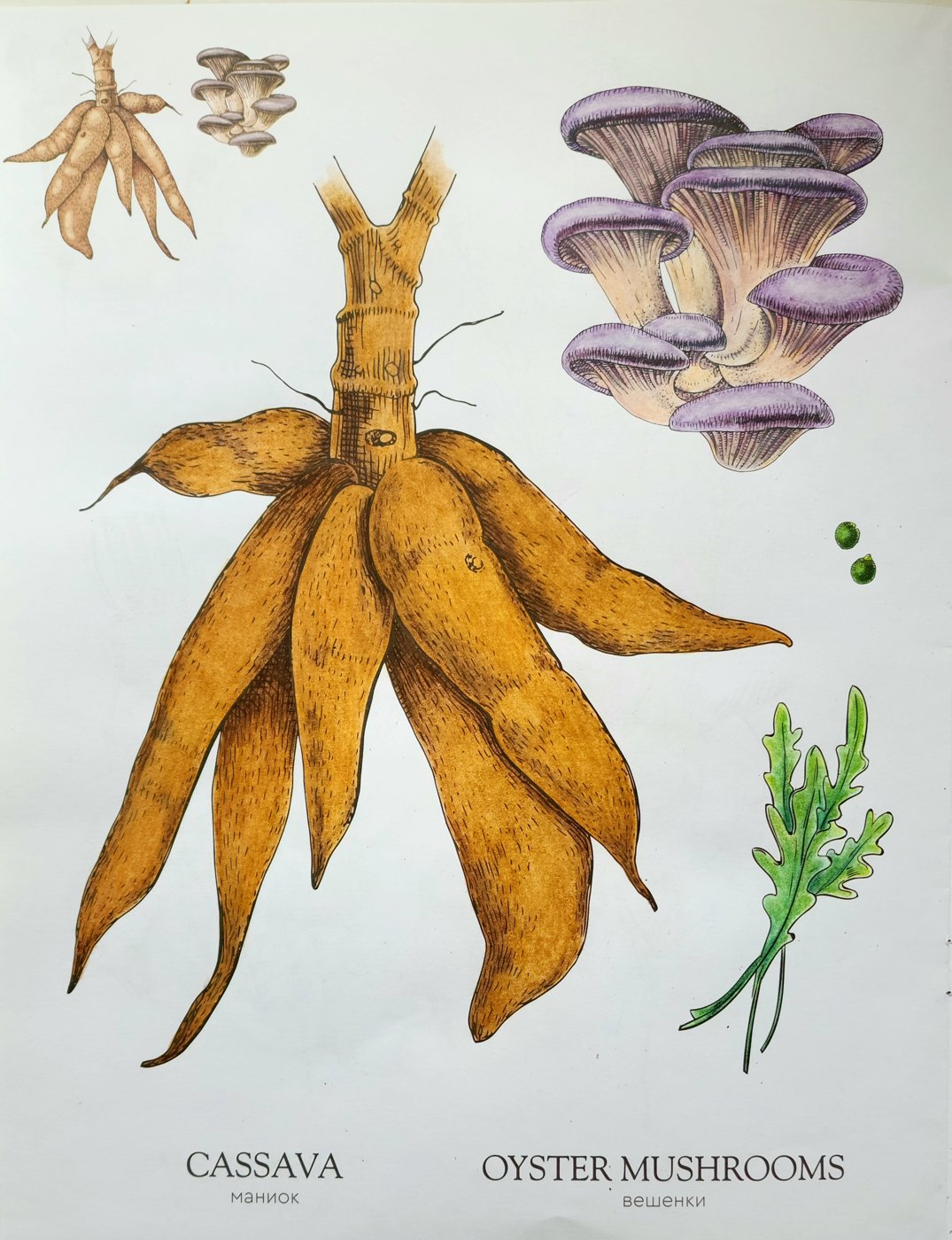 Работа от Anna Ganzevich