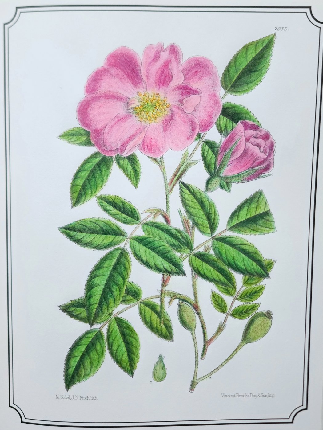 Работа от Anna Ganzevich