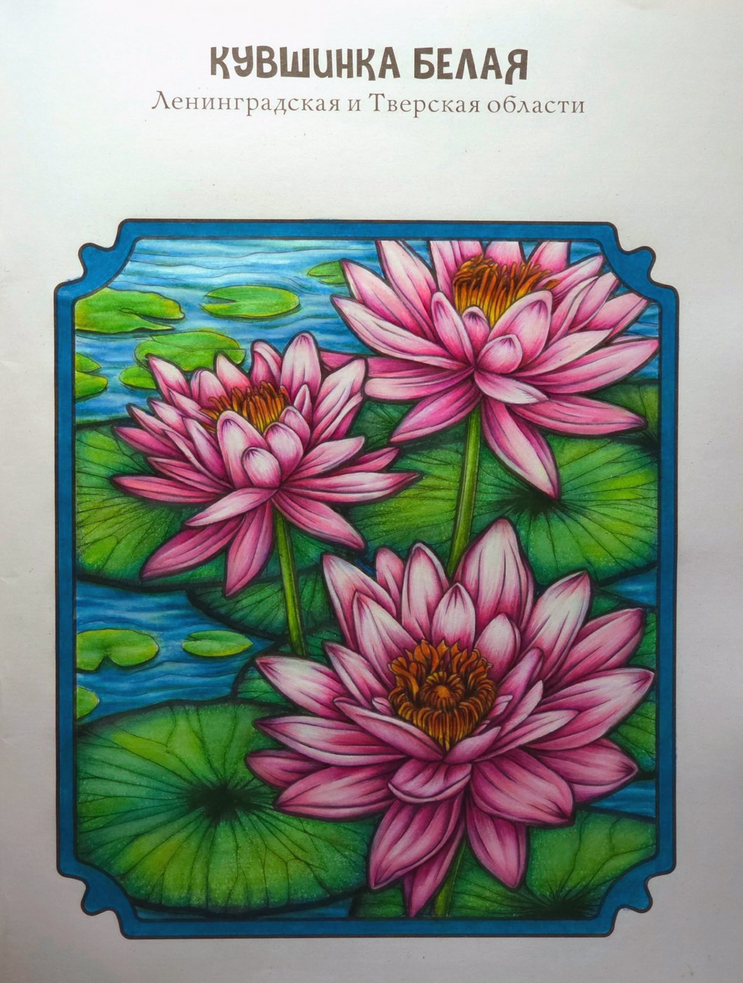 Работа от Good_Energy