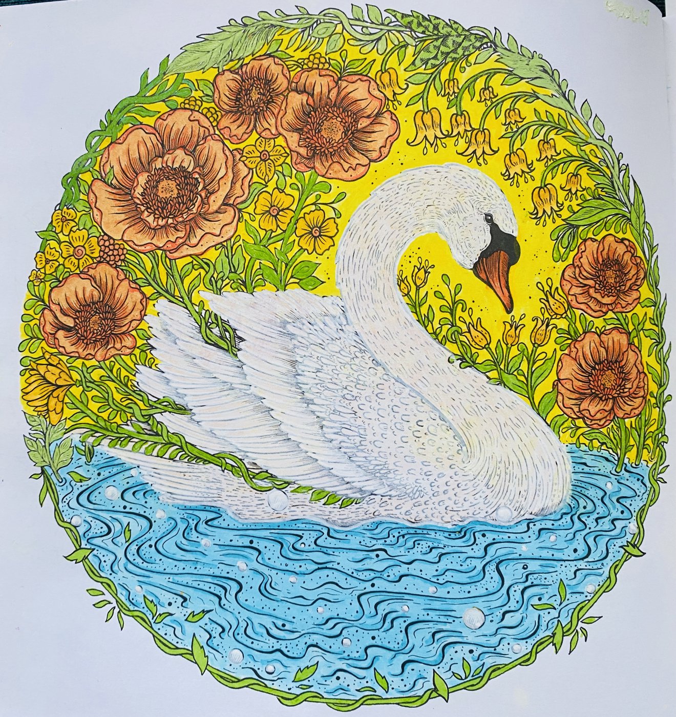 Работа от Amanda Sky