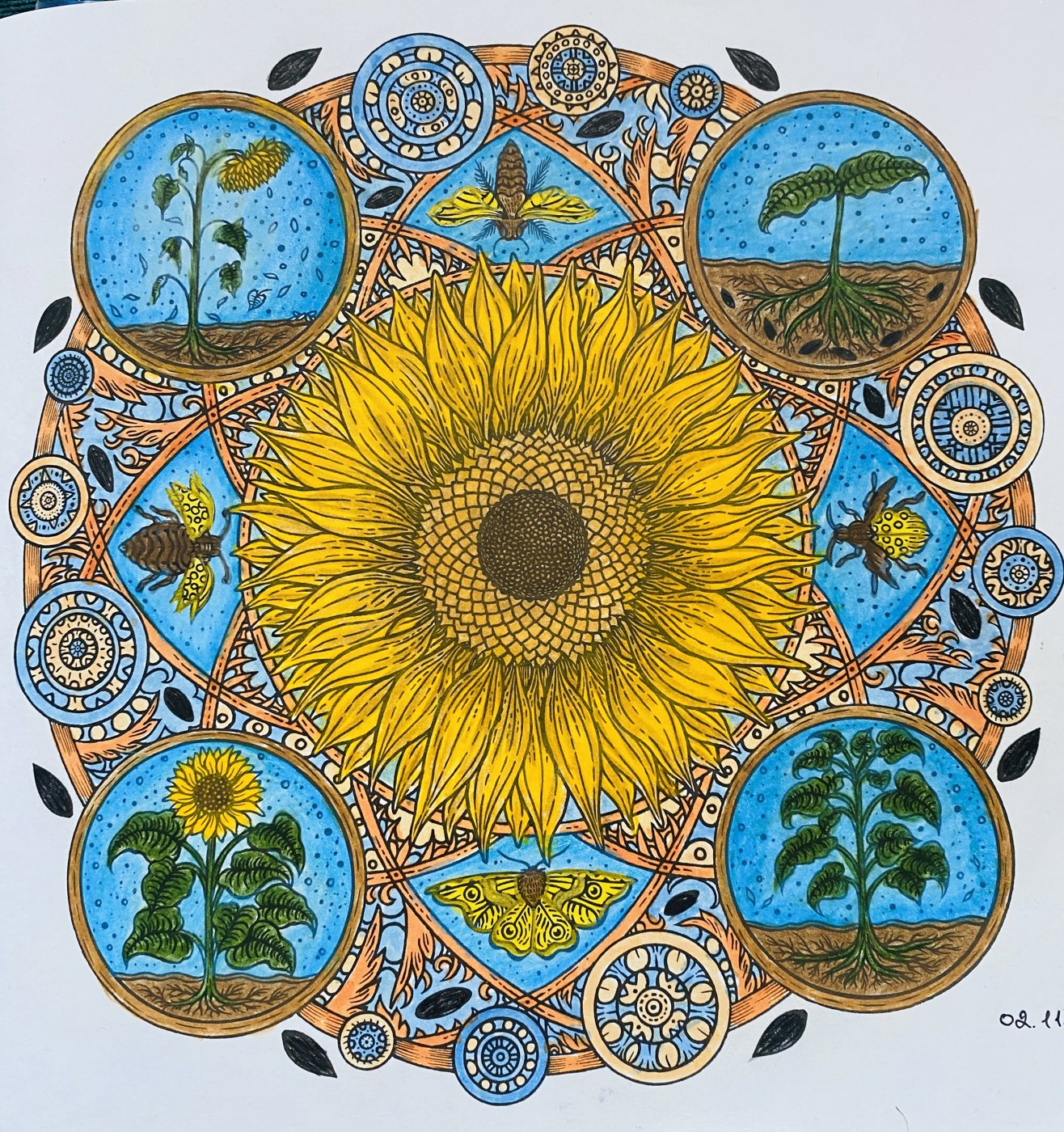 Работа от Amanda Sky