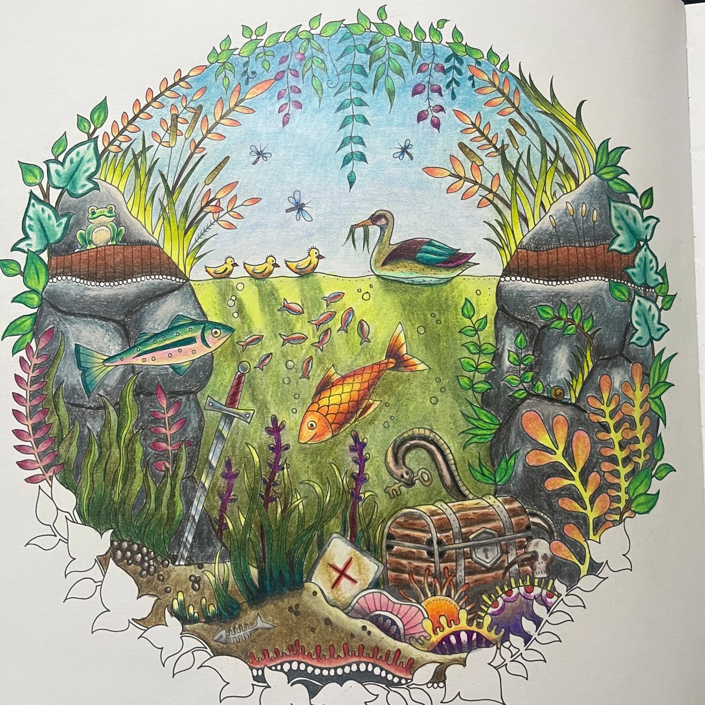 Пруд от Давид