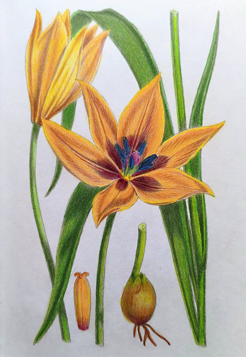 Работа от Лилия Понкратова