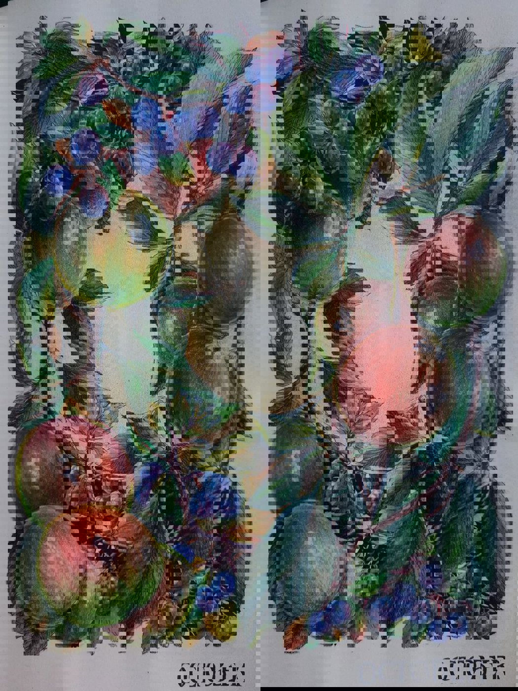 Работа от Александра