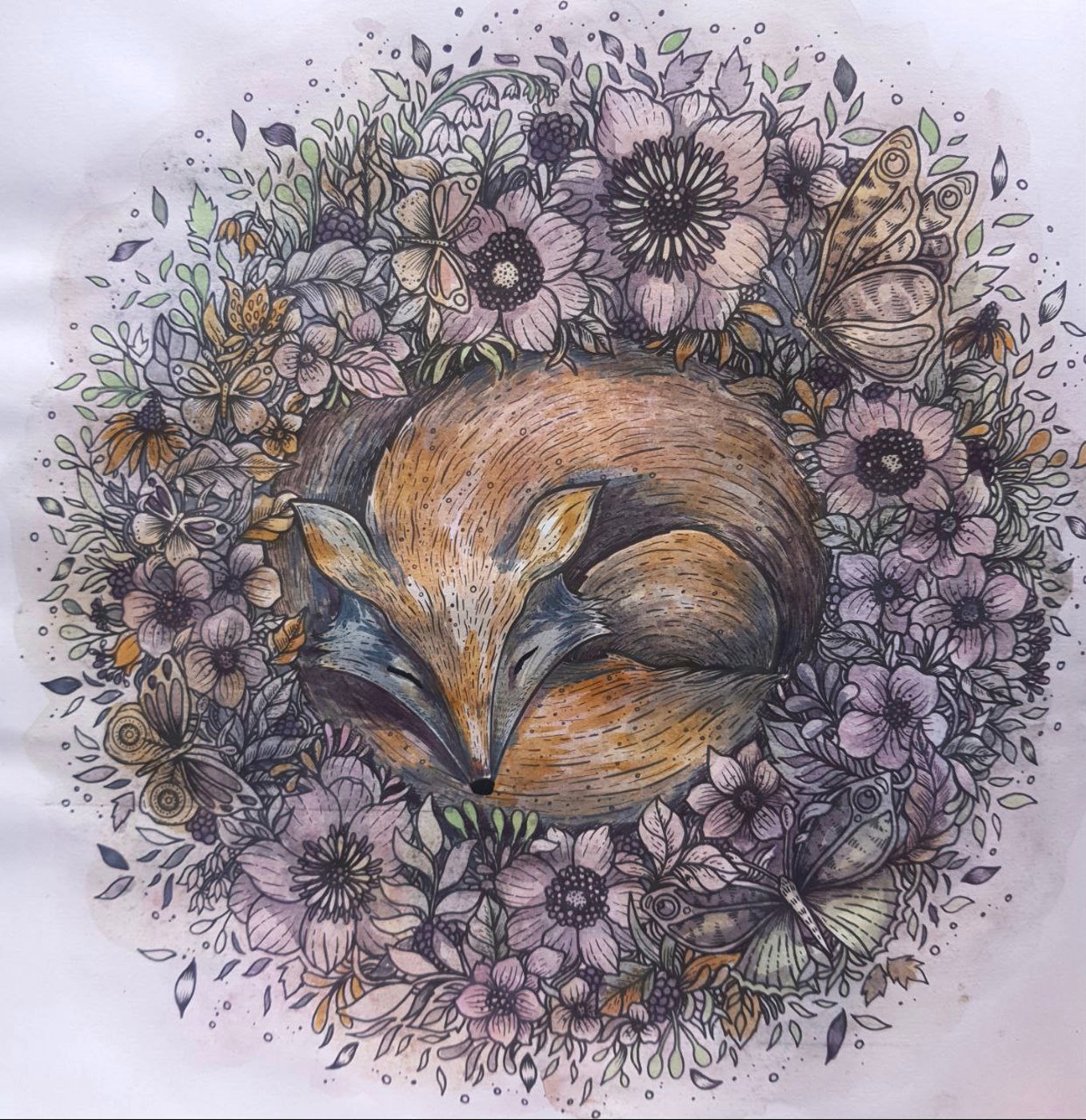 Работа от Александра