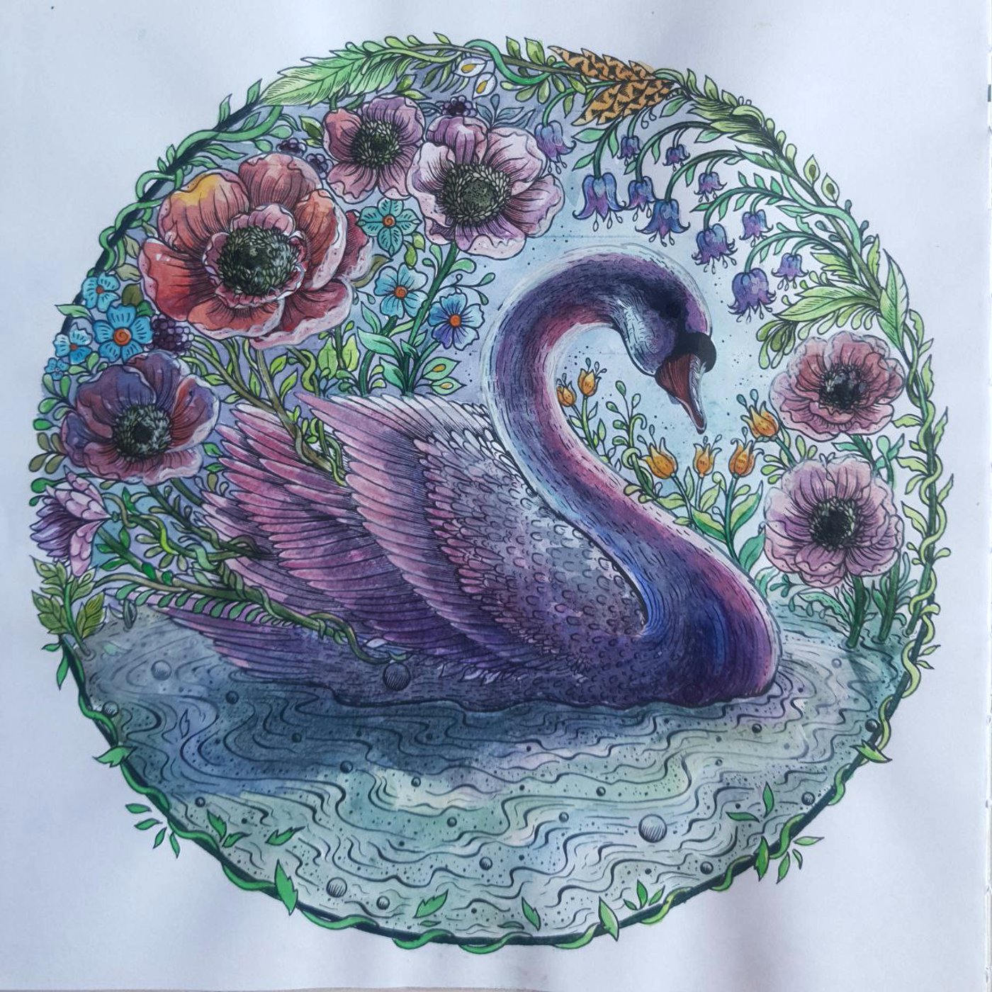 Работа от Александра