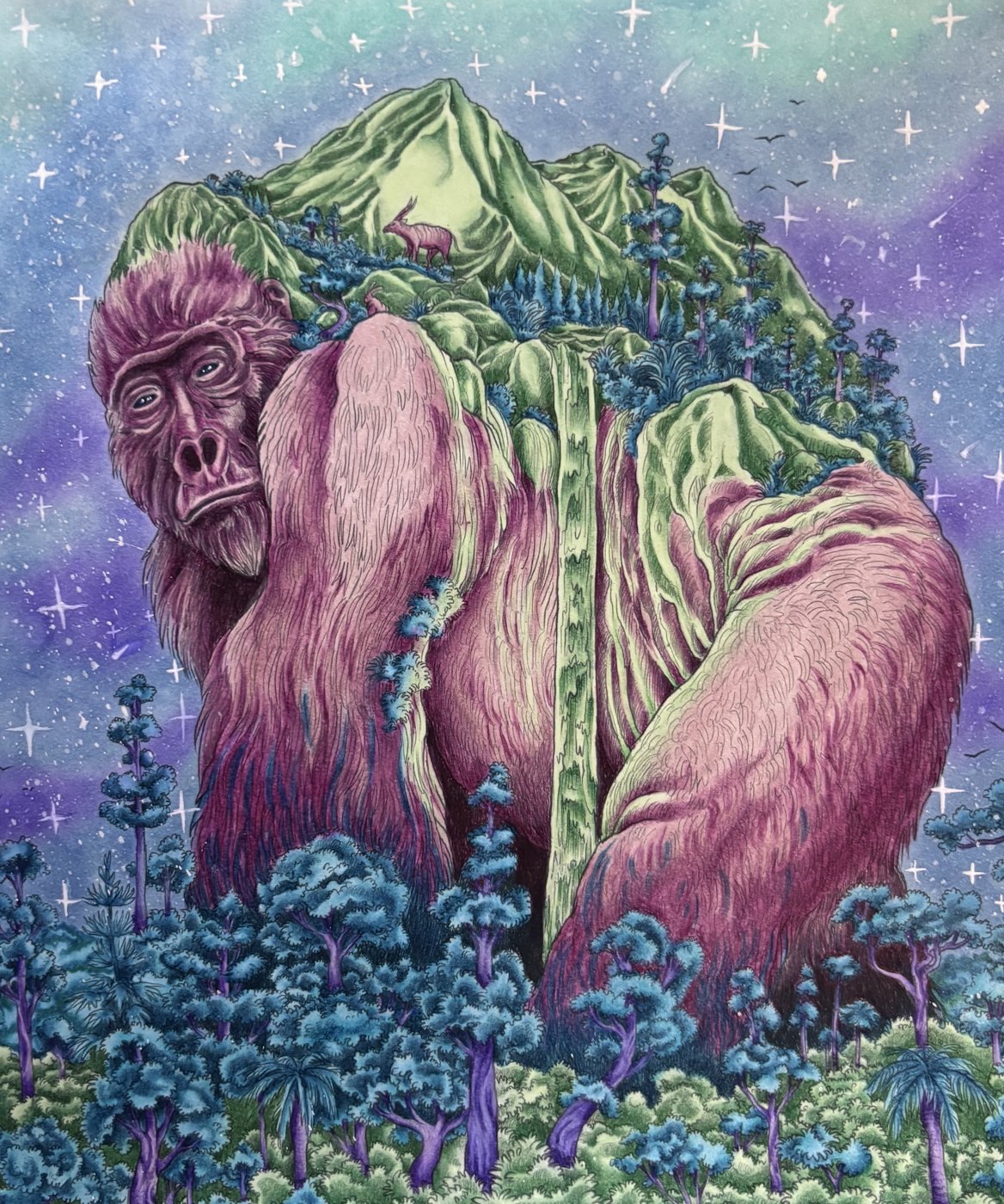 Работа от dashook