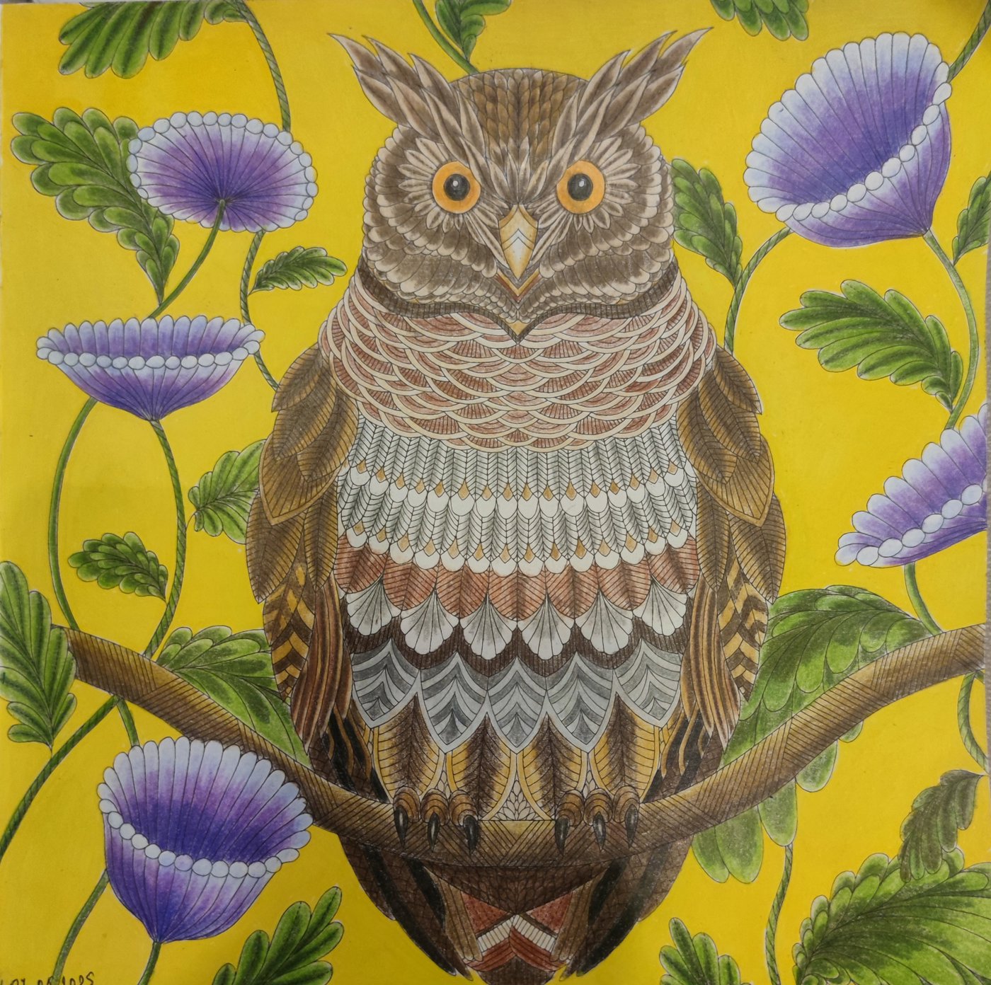 Работа от StarMaiden