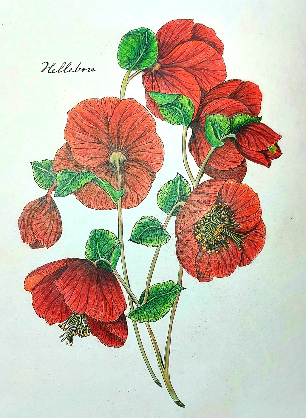 Работа от ChYulia