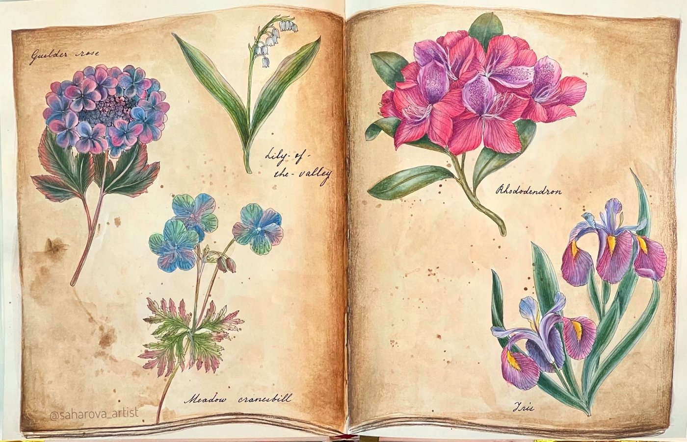 Работа от Anastasia Sakharova