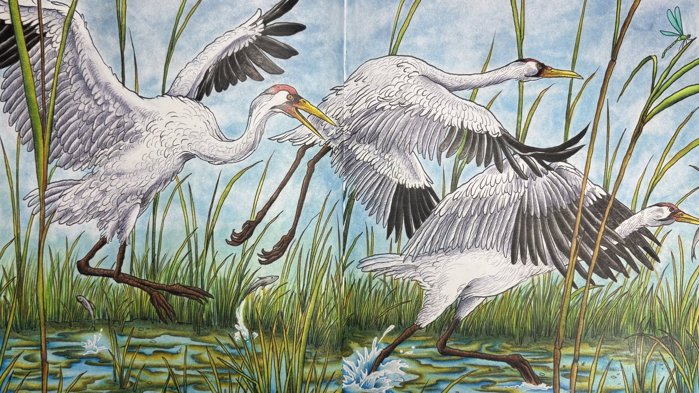 Работа от dashook