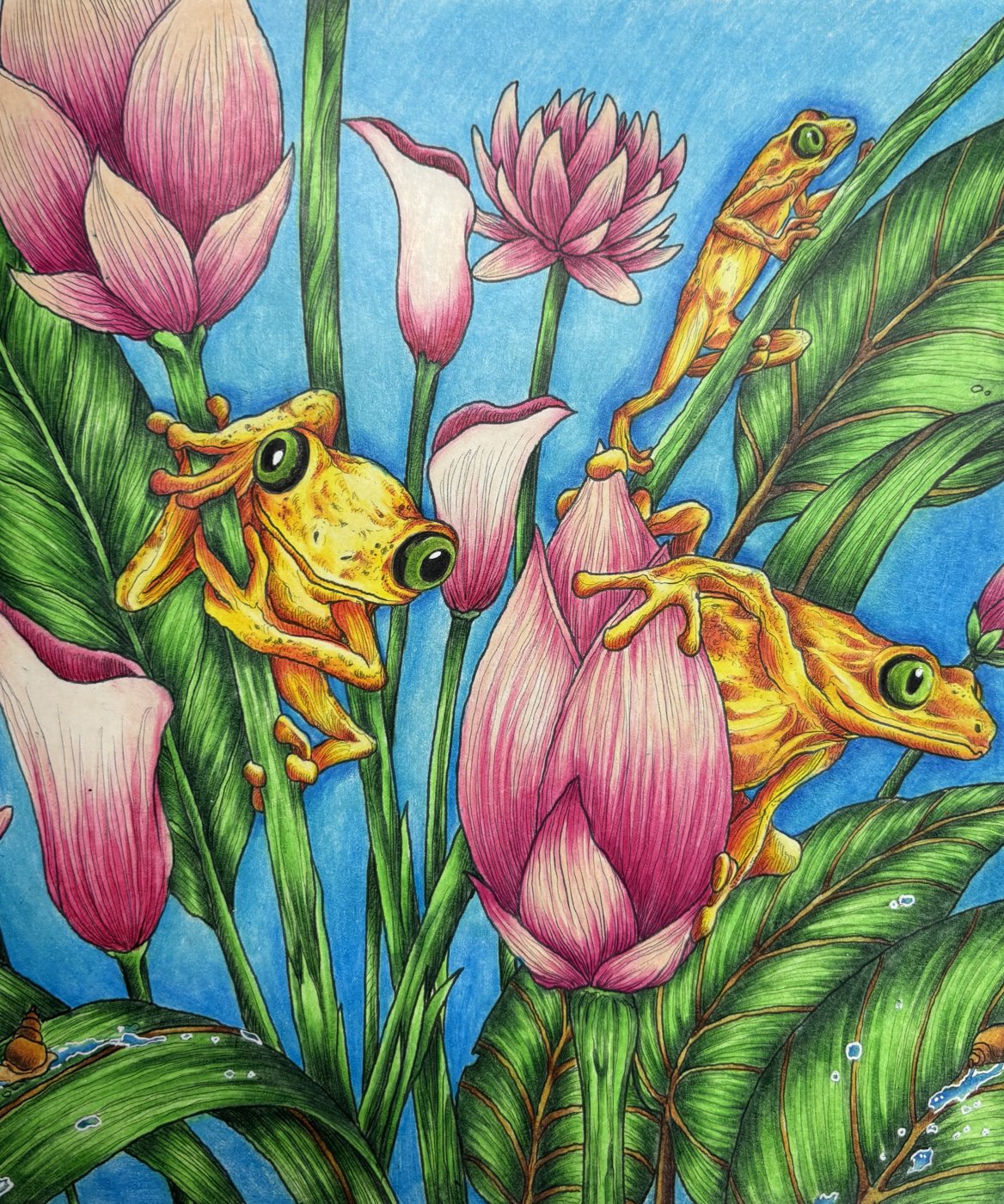 Работа от dashook