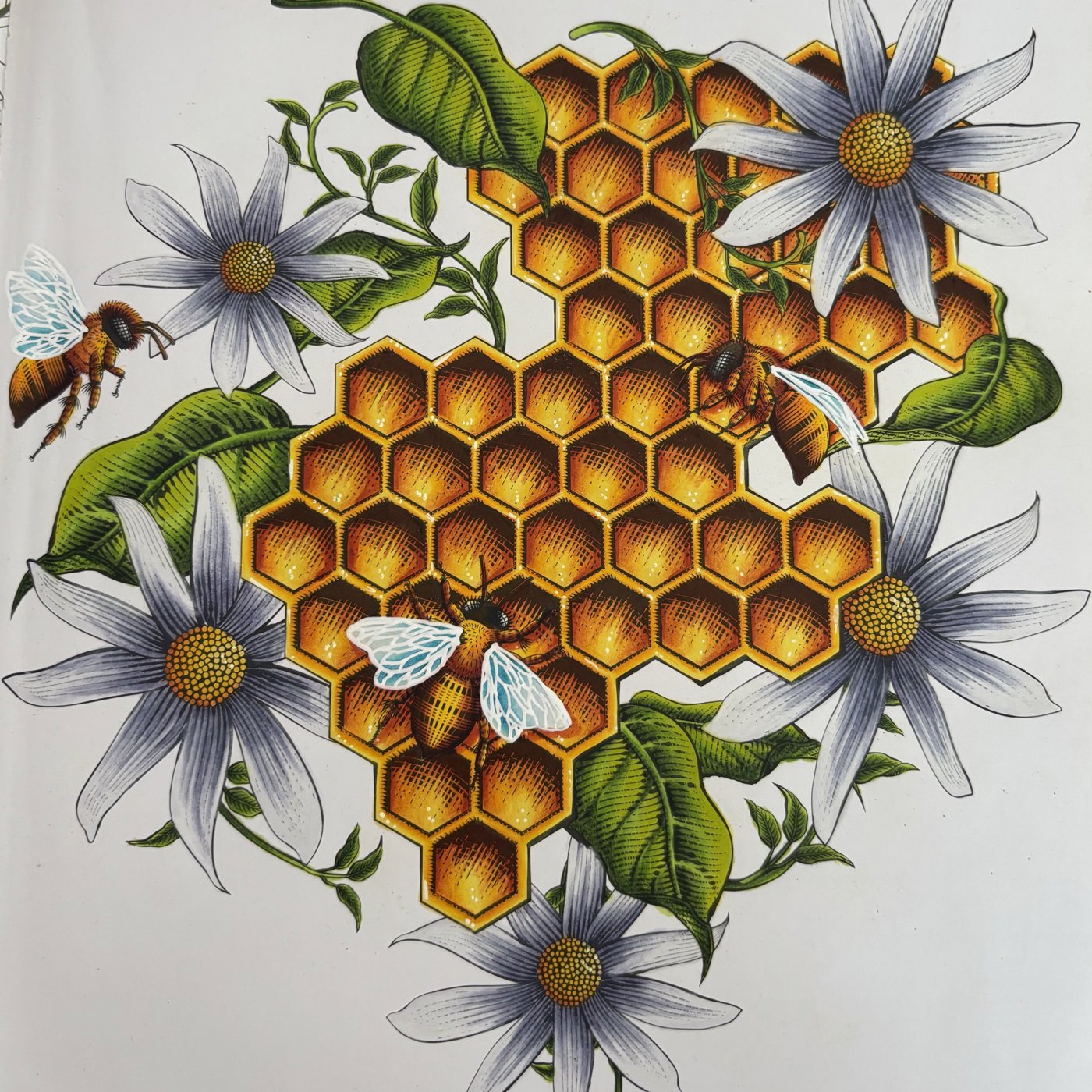 Работа от dashook