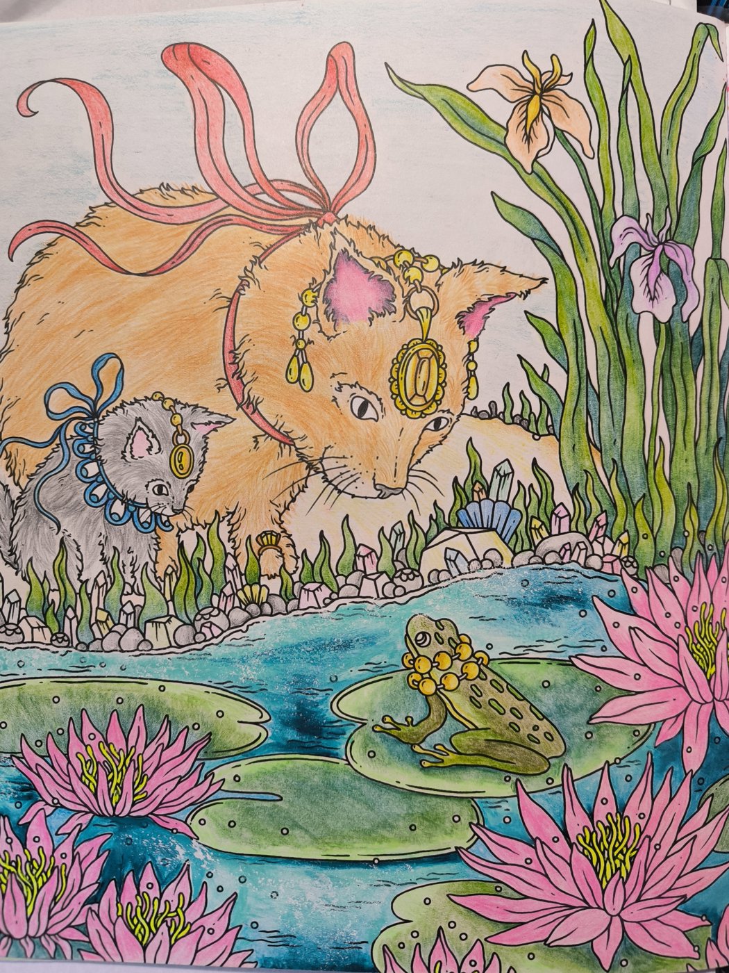 Котики и лягушка от VikaS