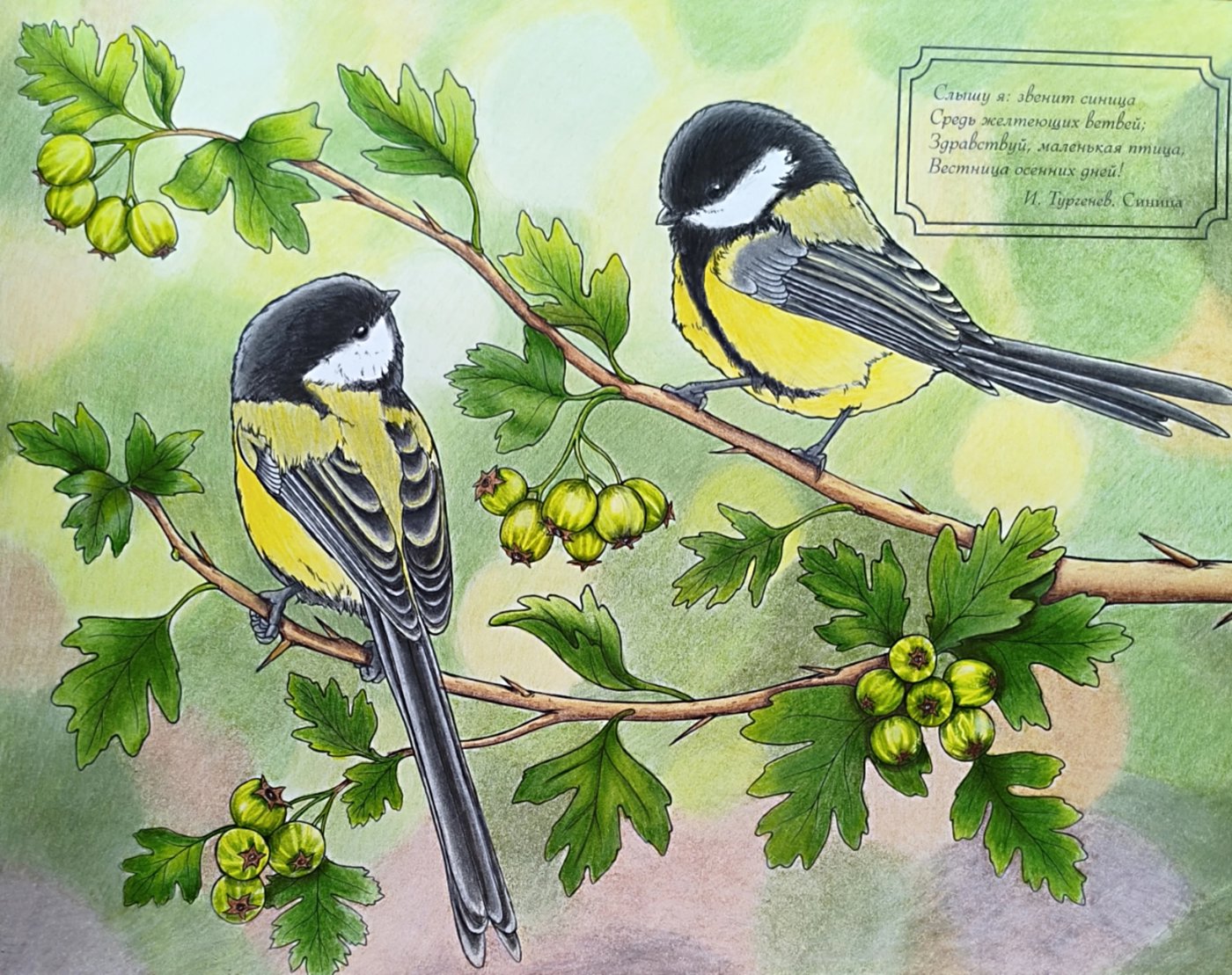 Работа от Лилия Понкратова