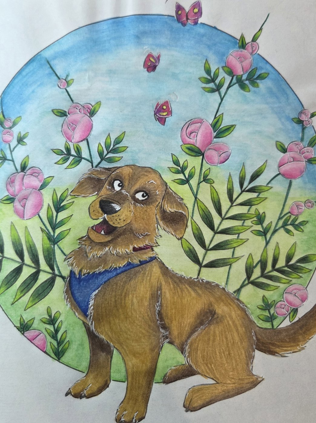 Работа от SokolovaLove35