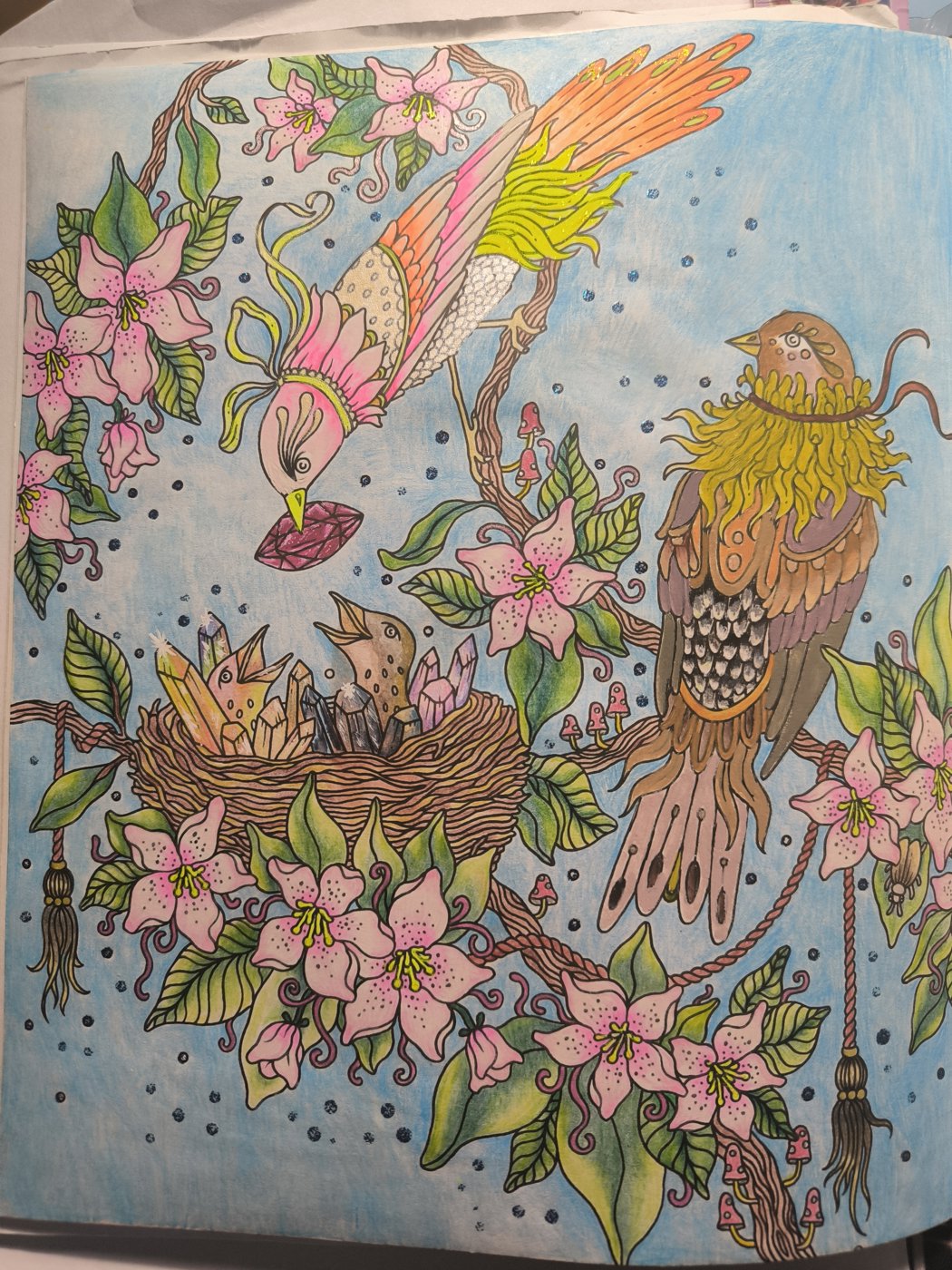 Семья птиц от VikaS