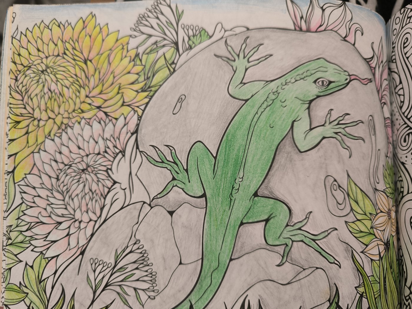 Ящерица от VikaS