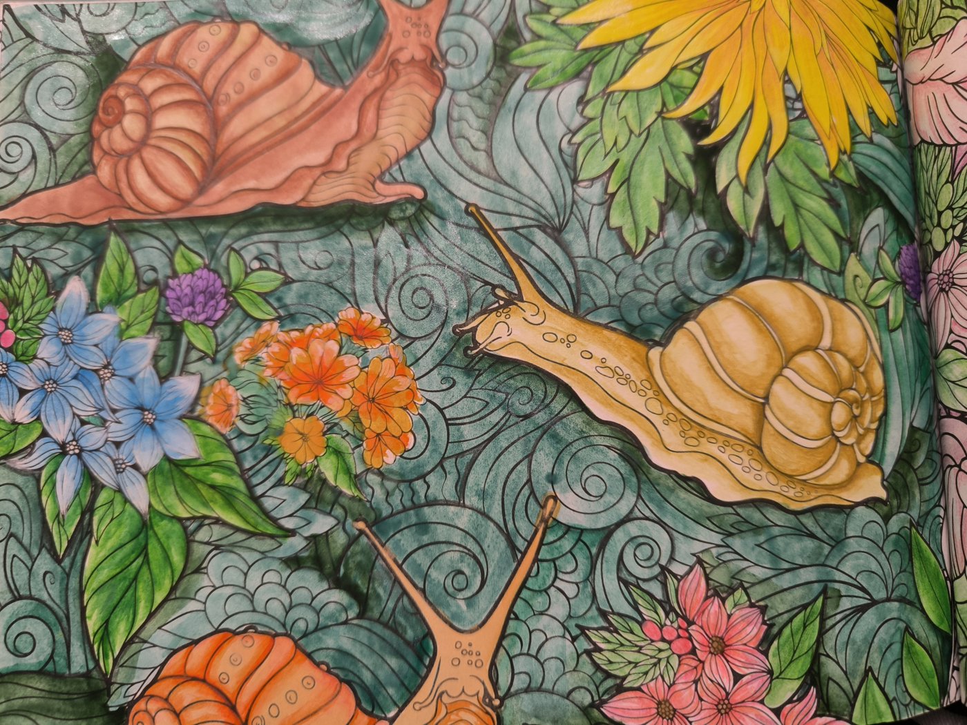 Улитки с цветами от VikaS