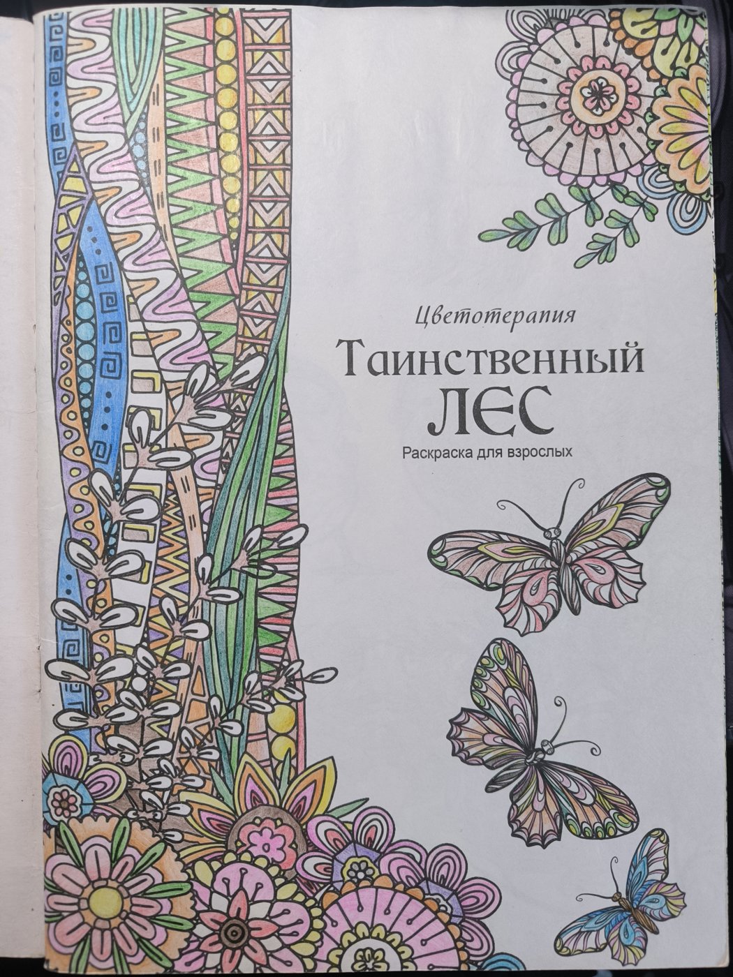 Бабочки с травинкой от VikaS