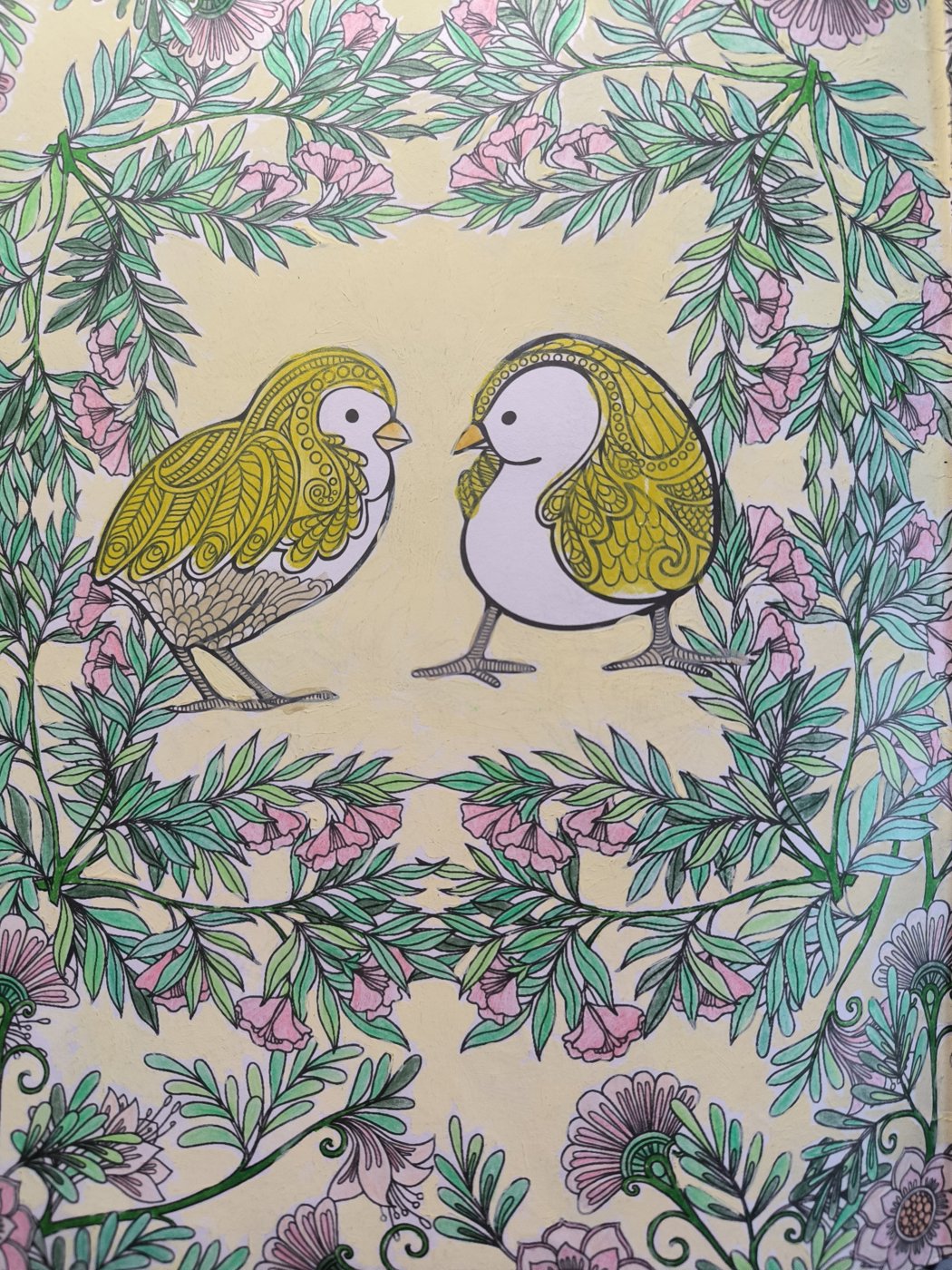 Цеплята от VikaS