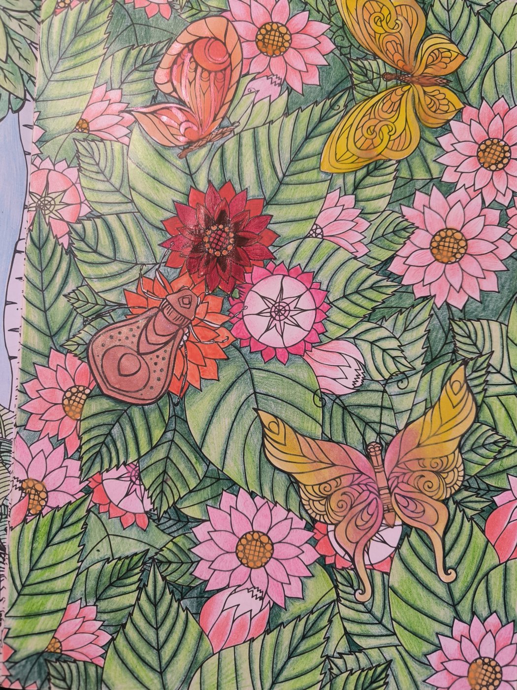 Цветы с насекомами от VikaS