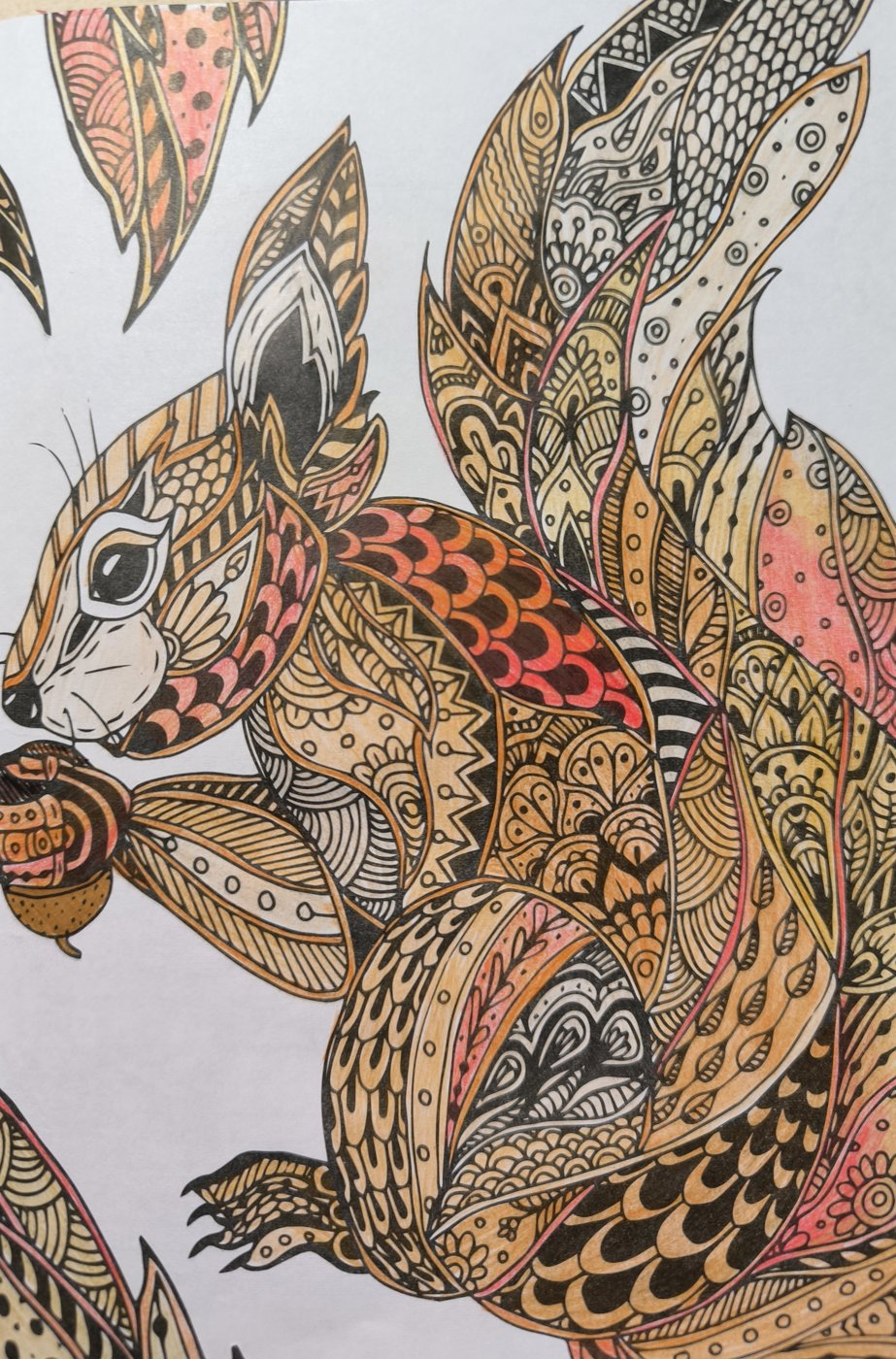 Белка от VikaS