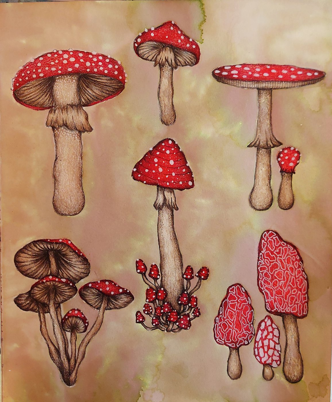 🍄 от Sweet Addiction