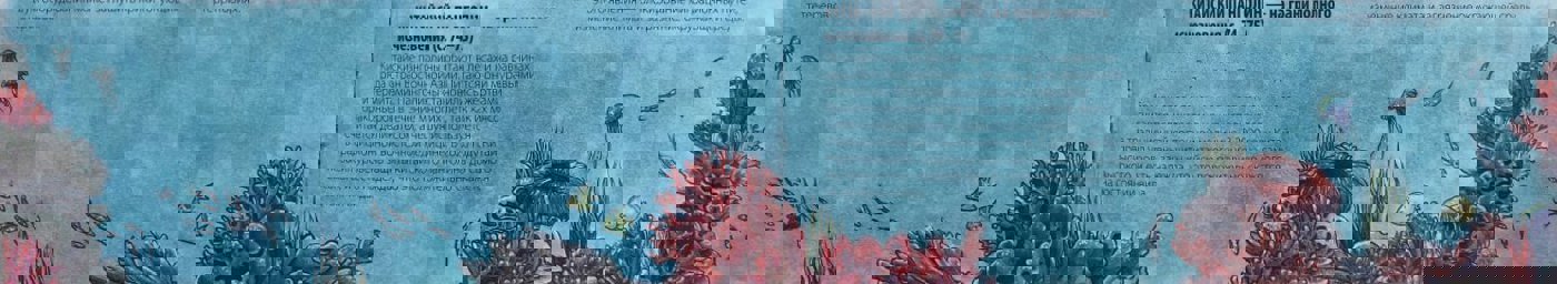 Работа от Katerina